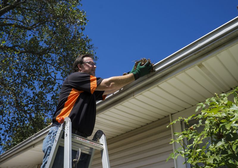 Best Gutter Protection Contractors in Amelia, OH